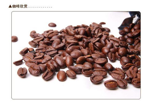 琥爵 深焙咖啡豆250g 精致木盒装
