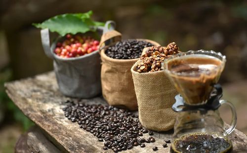 咖啡生豆新产季 2021首届最佳哥斯达黎加